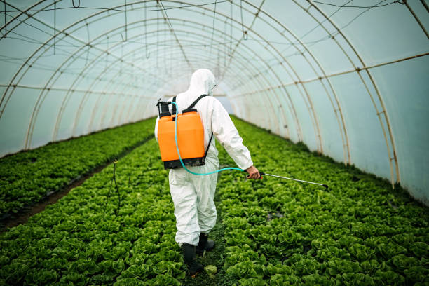 Best Best Pest Control Companies  in Chelsea, OK