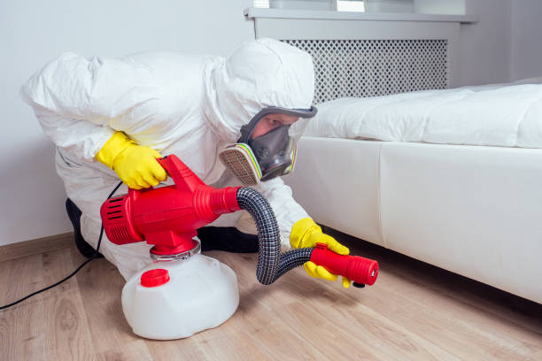 Best Flea Control Services  in Chelsea, OK