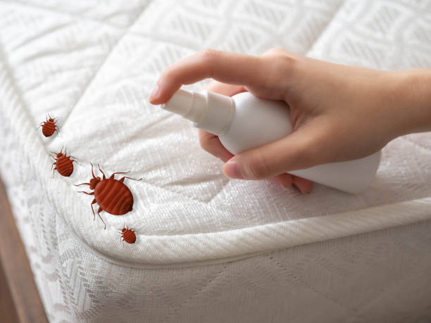 Best Cockroach Control Services  in Chelsea, OK