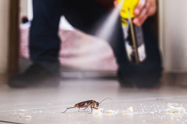 Best Bed Bug Extermination  in Chelsea, OK