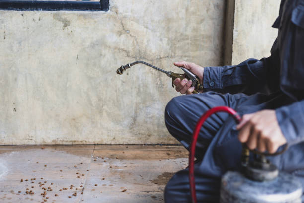 Best Exterminator Services  in Chelsea, OK