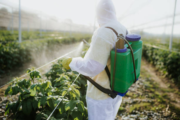 Best Pest Removal Services  in Chelsea, OK